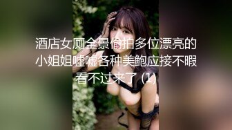 酒店女厕全景偷拍多位漂亮的小姐姐嘘嘘各种美鲍应接不暇看不过来了 (1)