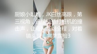 厨娘小姐姐，JK白丝高跟，第三视角，连续抽插打桩机的撞击声，让母狗高潮全程，对着镜头操，完美露脸3