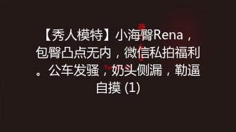 【秀人模特】小海臀Rena，包臀凸点无内，微信私拍福利。公车发骚，奶头侧漏，勒逼自摸 (1)