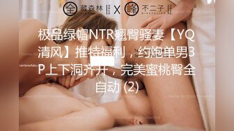 极品绿帽NTR翘臀骚妻【YQ清风】推特福利，约炮单男3P上下洞齐开，完美蜜桃臀全自动 (2)