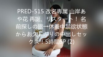 PRED-515 改名専属 山岸あや花 再誕、リスタート！ 名前探しの旅→休養中禁欲状態からお久しぶりの中出しセックス！5時間SP (2)