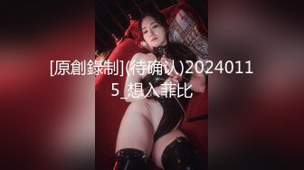 [原創錄制](待确认)20240115_想入菲比