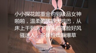 小小探花郎重金约到极品女神啪啪，温柔的舔弄大鸡巴，从床上干到床下镜头前露脸好风骚迷人，多体位蹂躏爆草