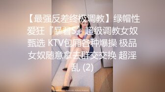 【最强反差终极调教】绿帽性爱狂『暴君S』超级调教女奴甄选 KTV包厢各种爆操 极品女奴随意拿去群交交换 超淫乱 (2)