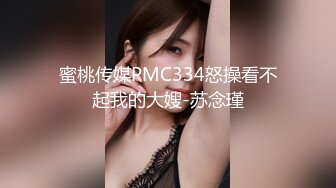 蜜桃传媒PMC334怒操看不起我的大嫂-苏念瑾