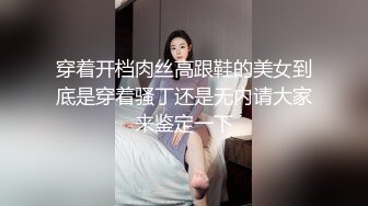 穿着开档肉丝高跟鞋的美女到底是穿着骚丁还是无内请大家来鉴定一下