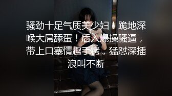 骚劲十足气质美少妇！跪地深喉大屌舔蛋！后入爆操骚逼，带上口塞情趣手铐，猛怼深插浪叫不断