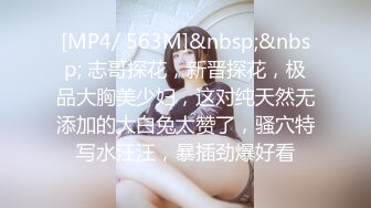 [MP4/ 563M]&nbsp;&nbsp; 志哥探花，新晋探花，极品大胸美少妇，这对纯天然无添加的大白兔太赞了，骚穴特写水汪汪，暴插劲爆好看