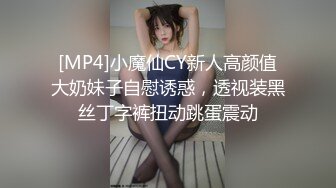 [MP4]小魔仙CY新人高颜值大奶妹子自慰诱惑，透视装黑丝丁字裤扭动跳蛋震动