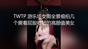 TWTP 游乐场女厕全景偷拍几个撅着屁股嘘嘘的高颜值美女4 (3)