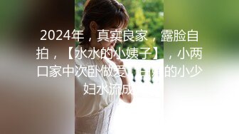 2024年，真实良家，露脸自拍，【水水的小姨子】，小两口家中次卧做爱，白嫩的小少妇水流成河1