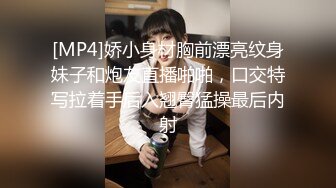 [MP4]摄影大师大尺度作品女神annie国风特殊质感透明旗袍若隐若现