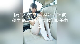 [高清中文字幕] SOE-146被學生強姦侵犯的女教師麻美由真