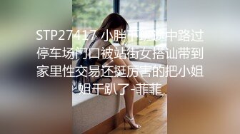 STP27417 小胖下班途中路过停车场门口被站街女搭讪带到家里性交易还挺厉害的把小姐姐干趴了-菲菲