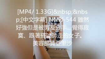 [MP4/ 1.33G]&nbsp;&nbsp;[中文字幕] NNPJ-544 雖然好強但是被男友分手... 覺得寂寞、跟著搭訕師走的女子。 美容部員亞里沙