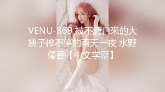 VENU-869 被不請自來的大姨子榨不停的兩天一夜 水野優香【中文字幕】