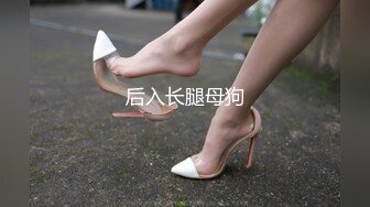 后入长腿母狗